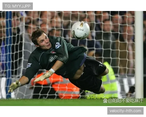 欧洲杯零封之王盘点:历届赛事最强门神表现一览 欧洲杯零封之王盘点:历届赛事最强门神表现一览